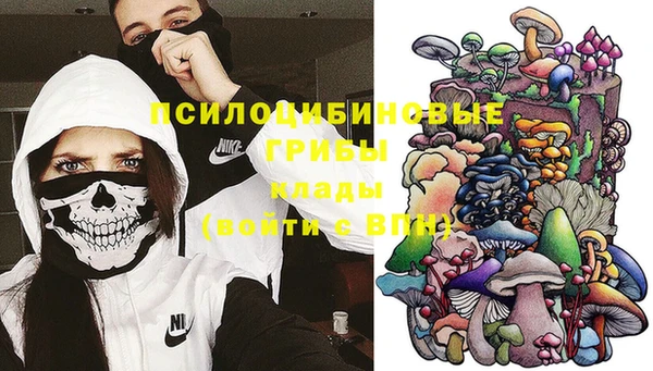 a pvp Алексеевка