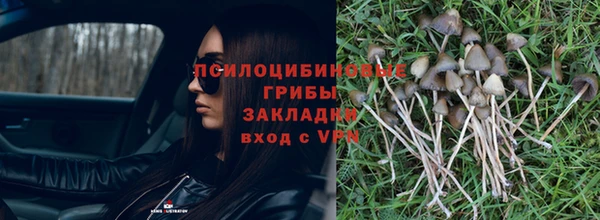 хмурый Ельня