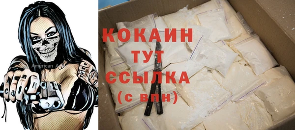 хмурый Алзамай