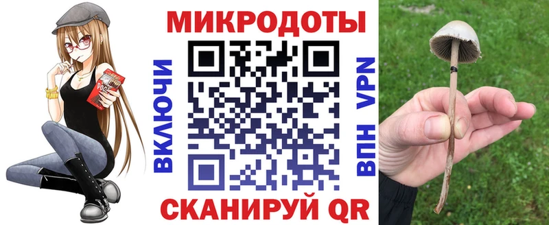 мега ССЫЛКА  Гвардейск  Псилоцибиновые грибы мицелий  наркошоп 